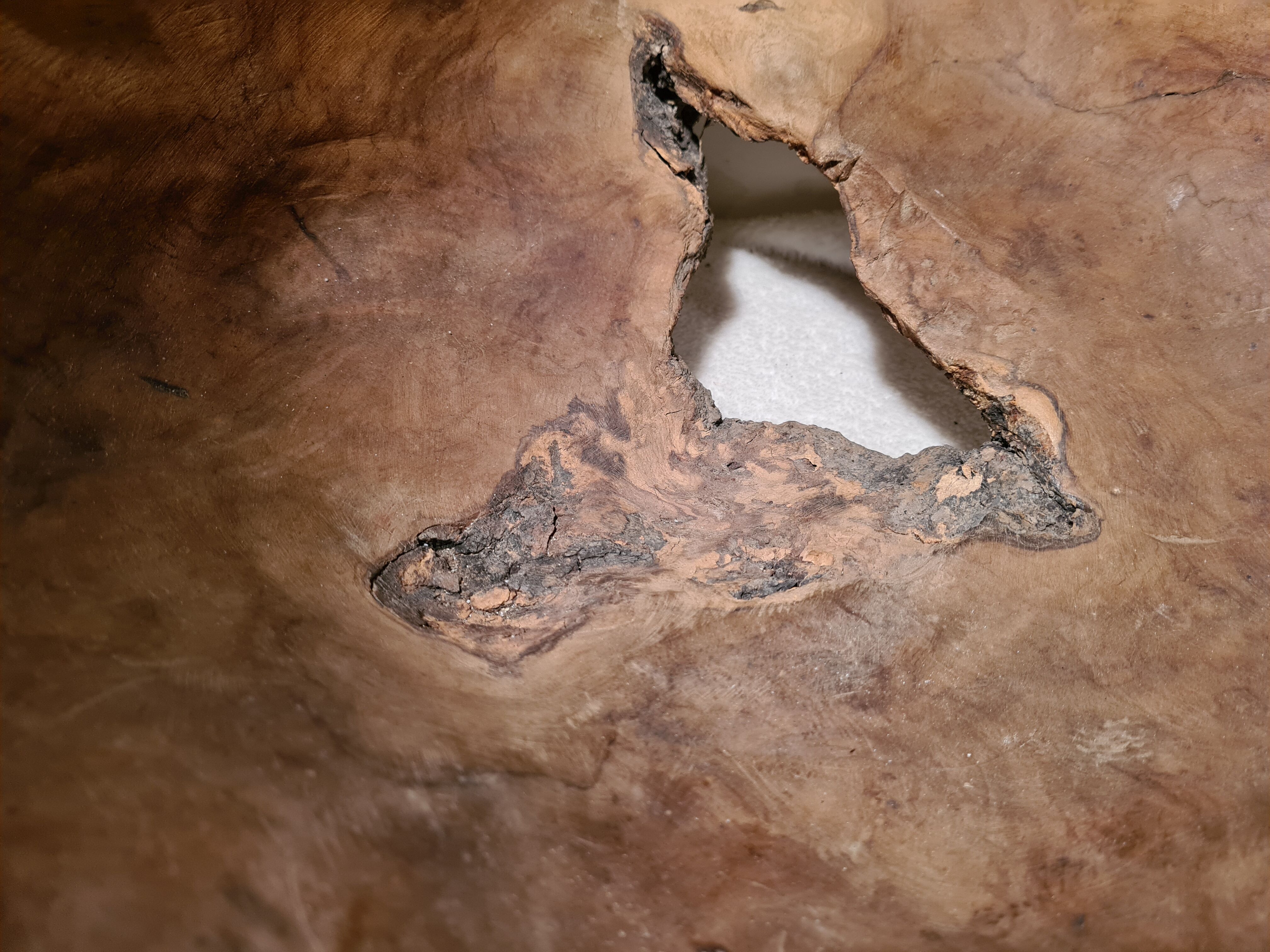 Tony Bain vallauris olive wood cut