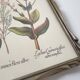 Botanical board wildflowers frame wood to pose
