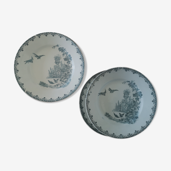 Suite de 4 assiettes plates anciennes "Au jardin"