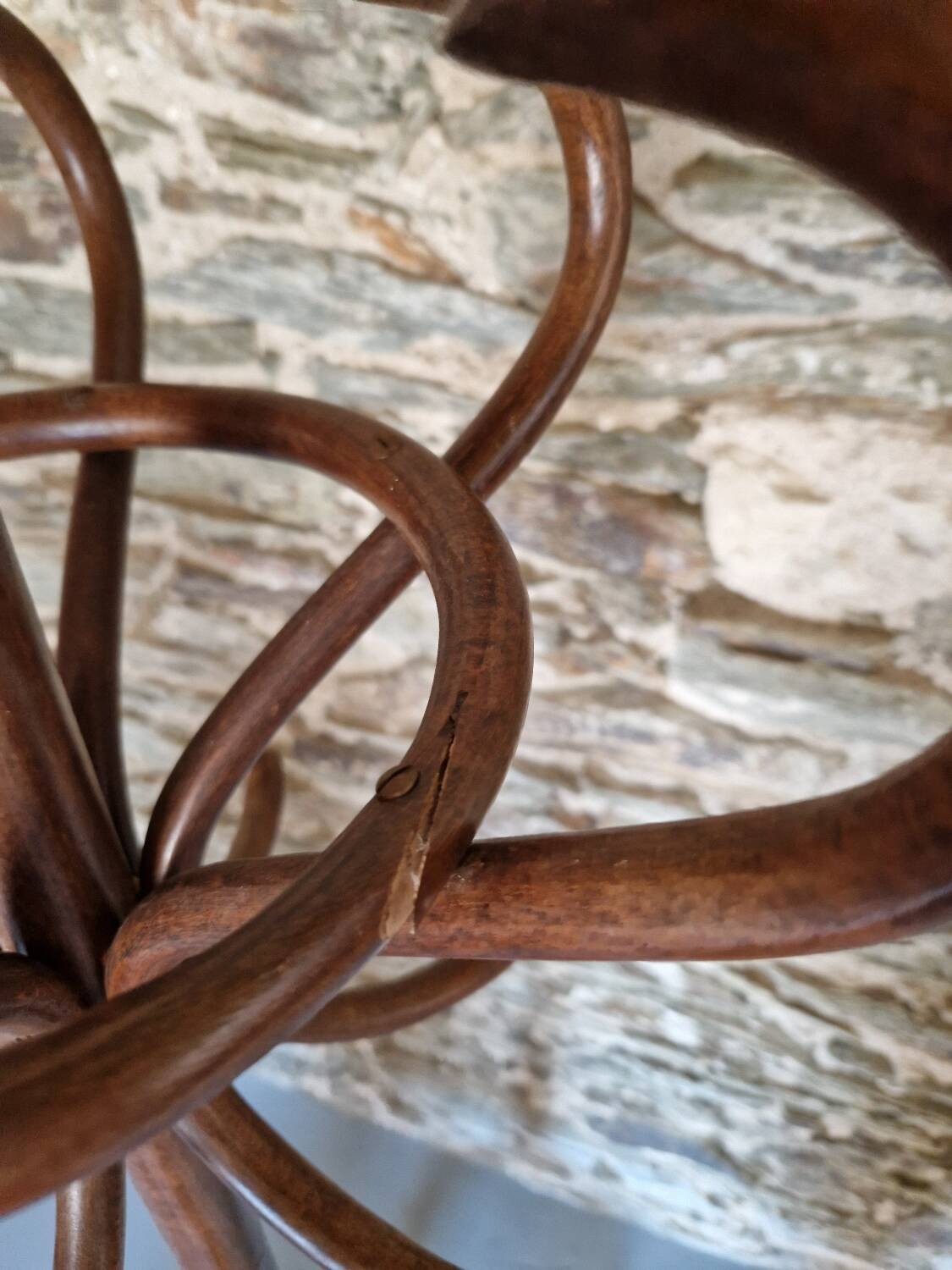 Old Baumann style parrot coat rack