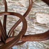 Old Baumann style parrot coat rack