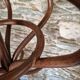 Old Baumann style parrot coat rack