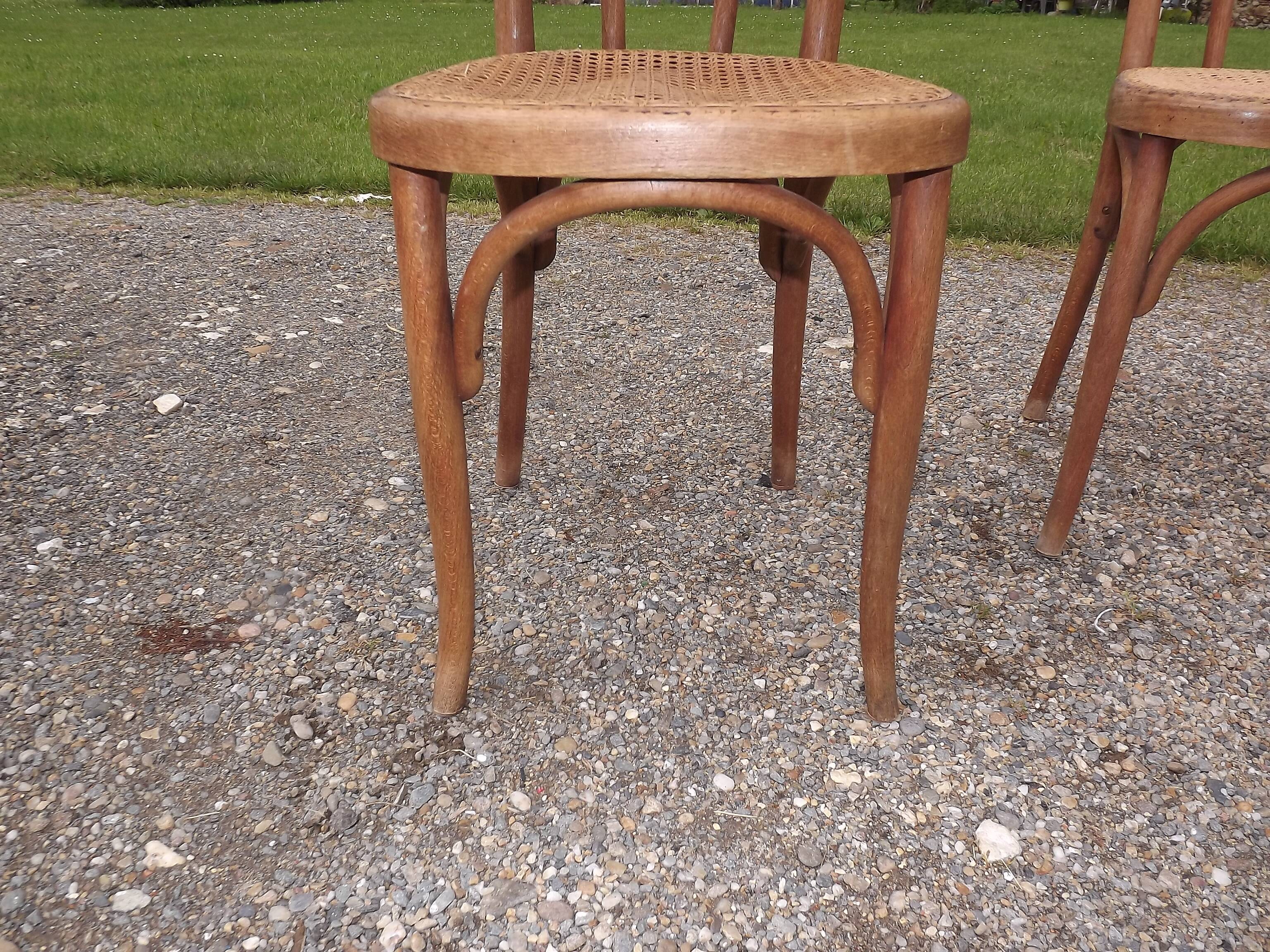 Pair of  Thonet chairs
