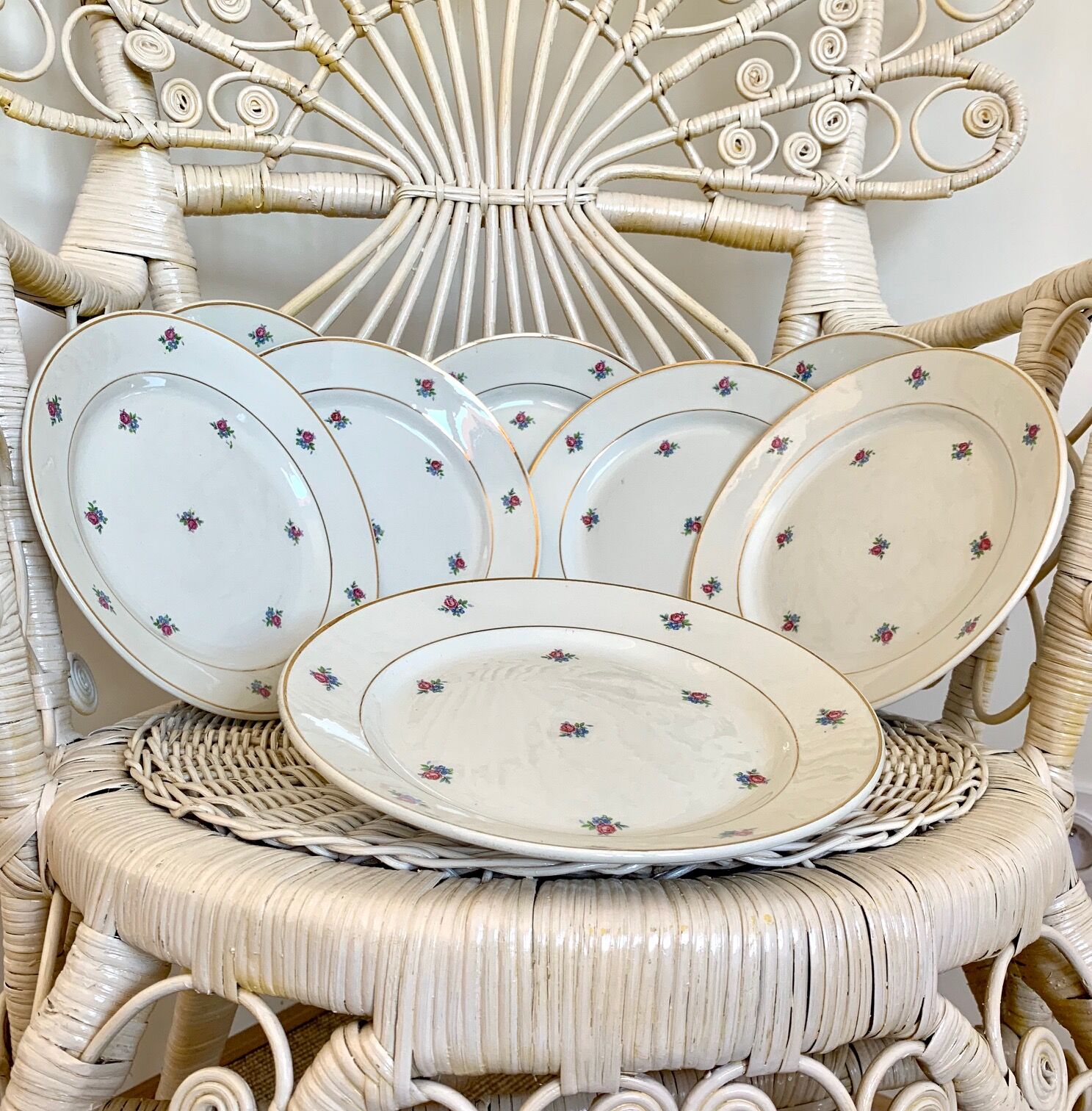 Service of 11 vintage plates Lunéville model Floréal