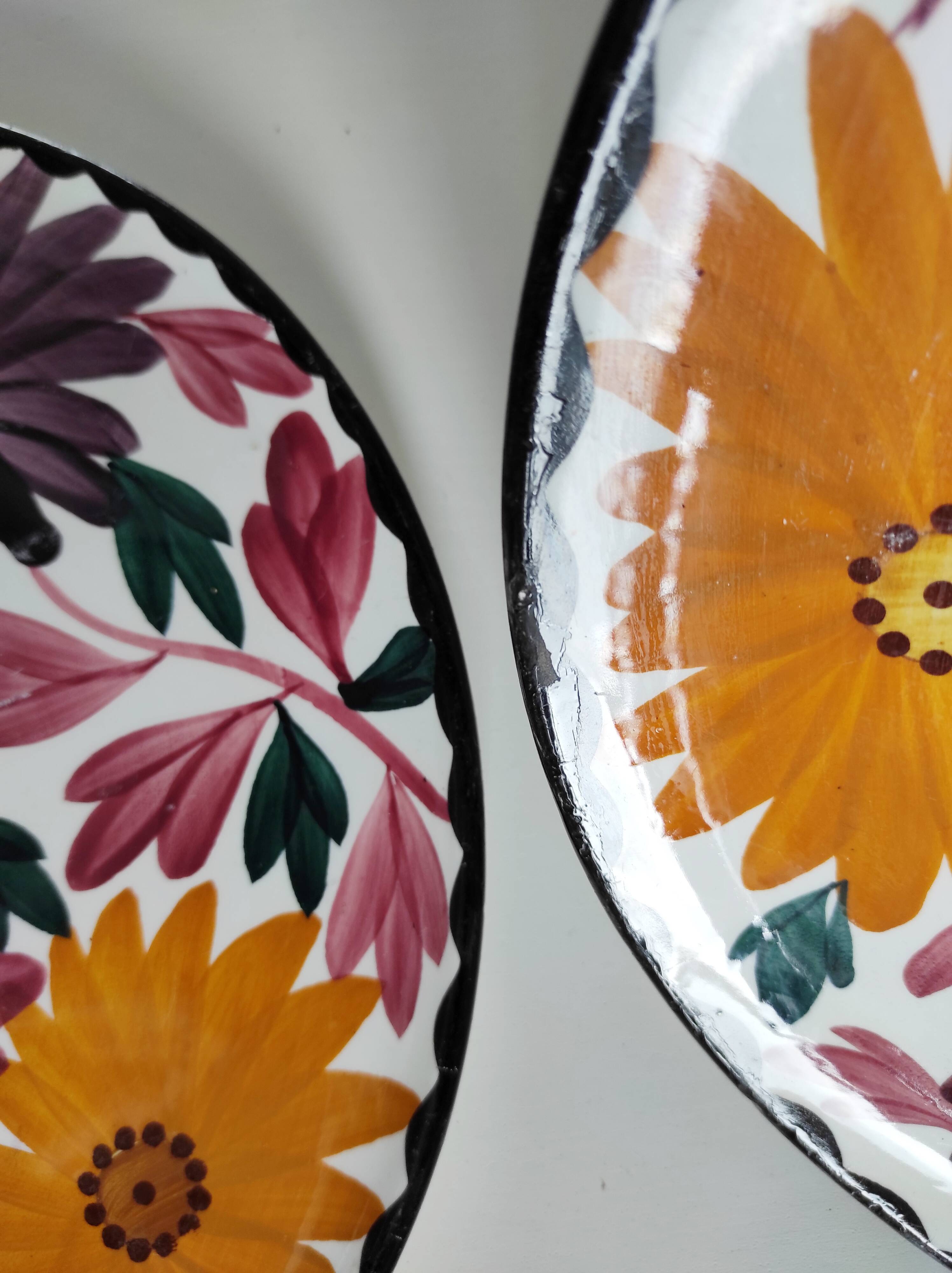 Two Schramberg Majolika painted flower dishes