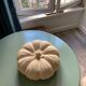 Citrouille décorative