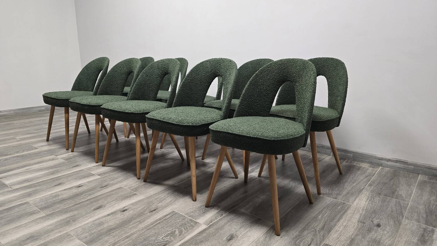 Dining Chairs by Antonin Suman, 1960s, Set of 10