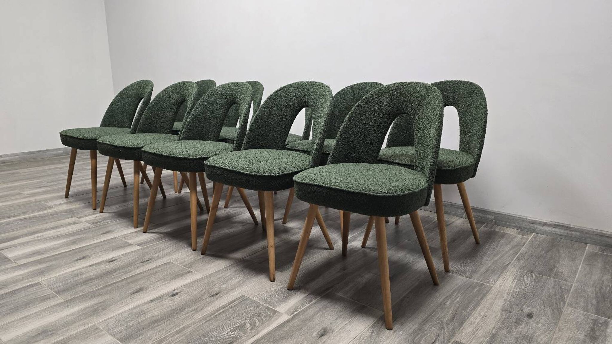 Dining Chairs by Antonin Suman, 1960s, Set of 10