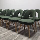 Dining Chairs by Antonin Suman, 1960s, Set of 10