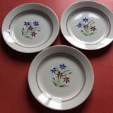 Set of 10 flat plates