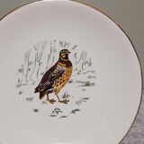 6 flat plates Gien Marly "birds of the forests"