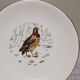 6 assiettes plates Gien Marly "oiseaux des forêts"