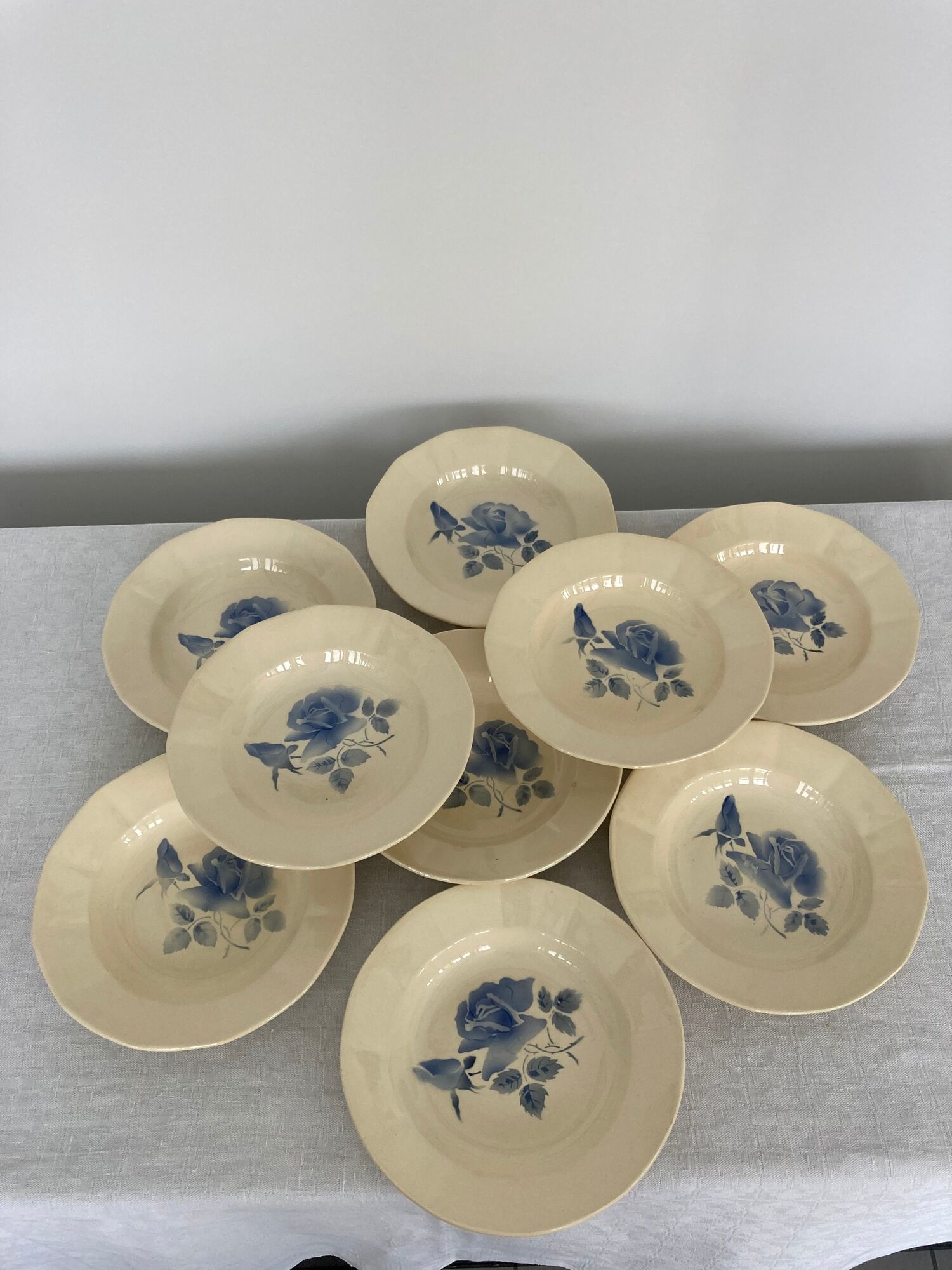 Set of 9 hollow plates Blue Roses Digoin Sarreguemines