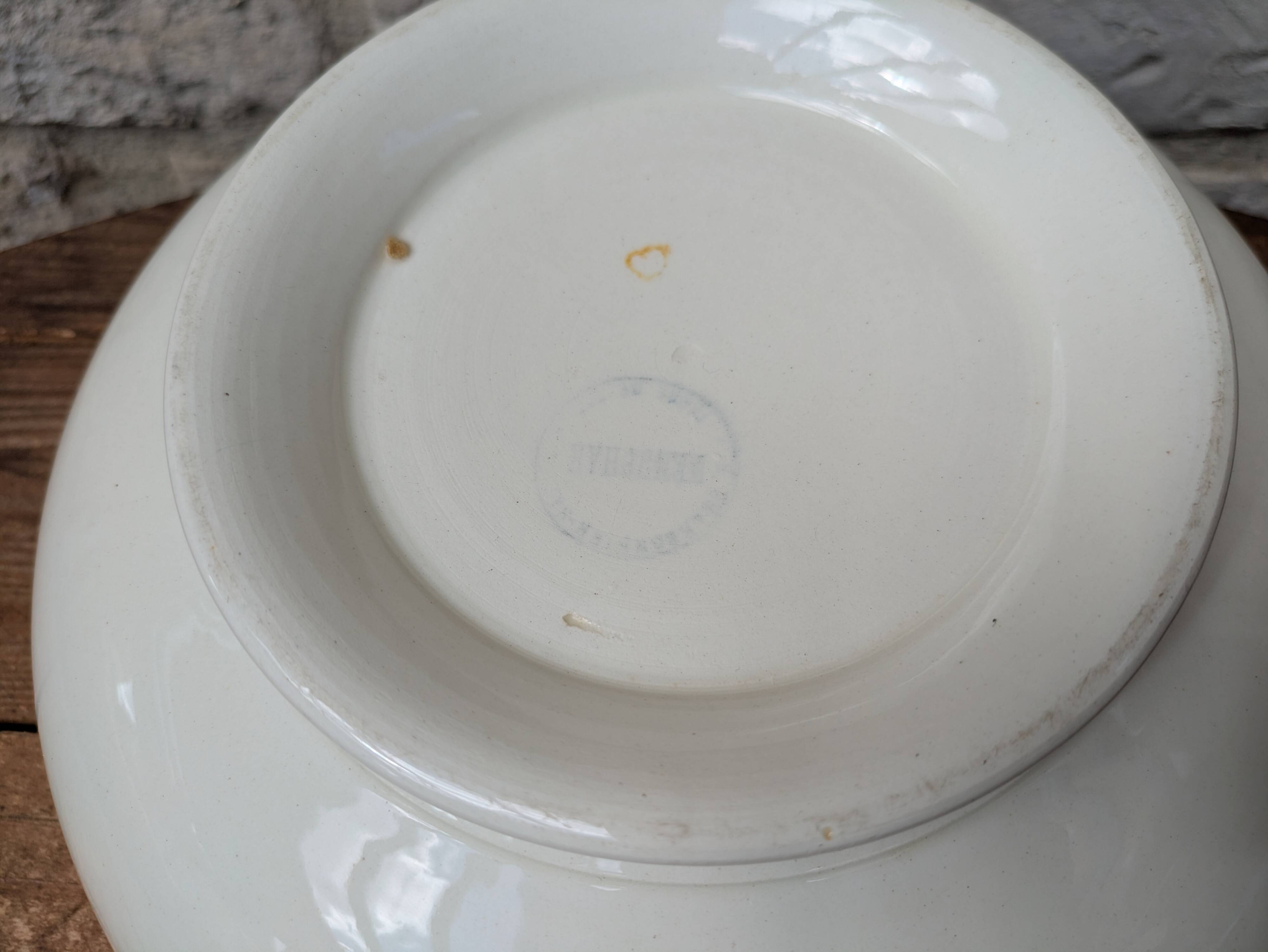 Vintage ironstone salad bowl Salins model Nénuphar 28cm