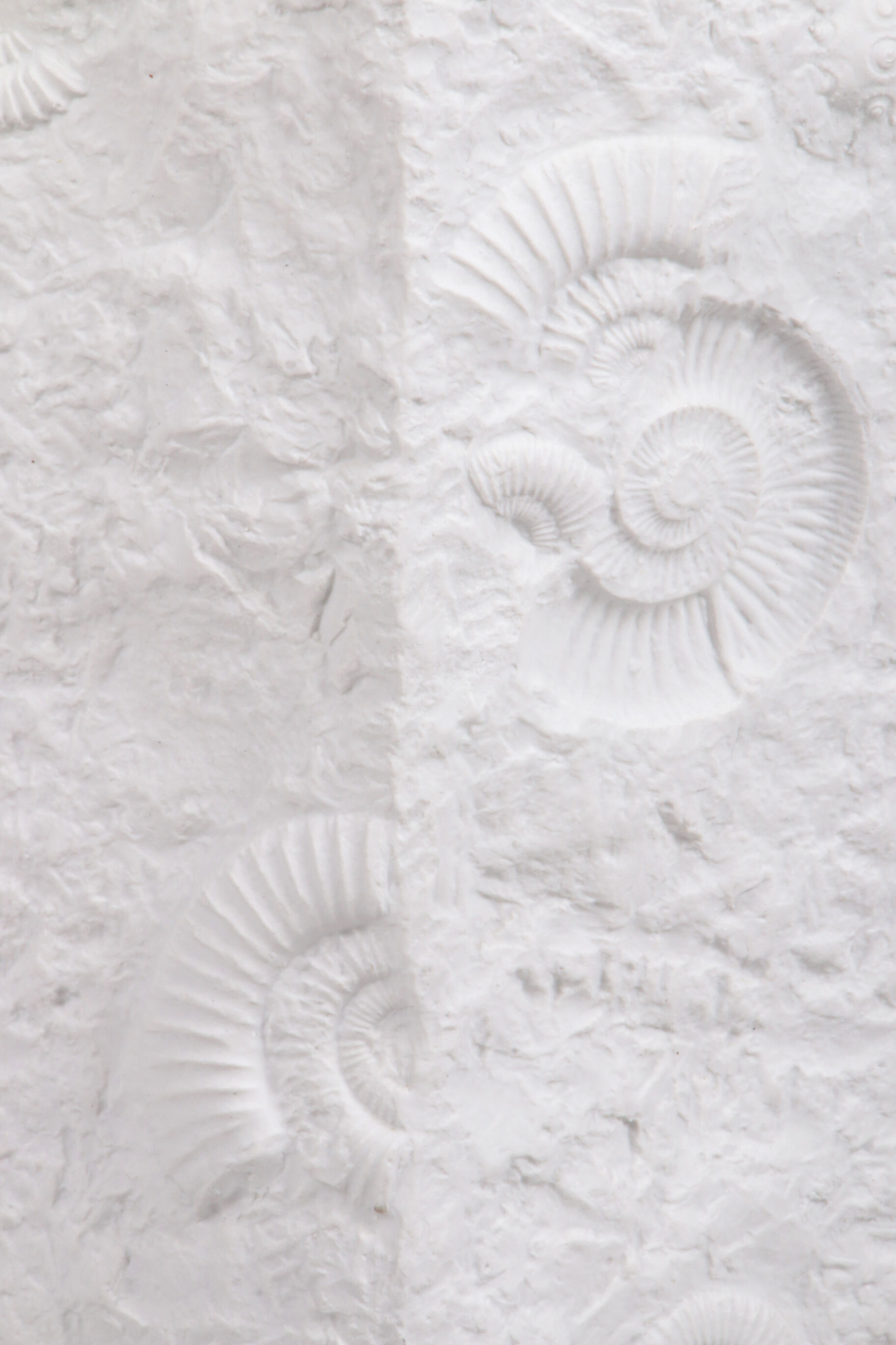 Large AK Kaiser porcelain vase with a white shell fossil pattern