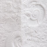 Large AK Kaiser porcelain vase with a white shell fossil pattern