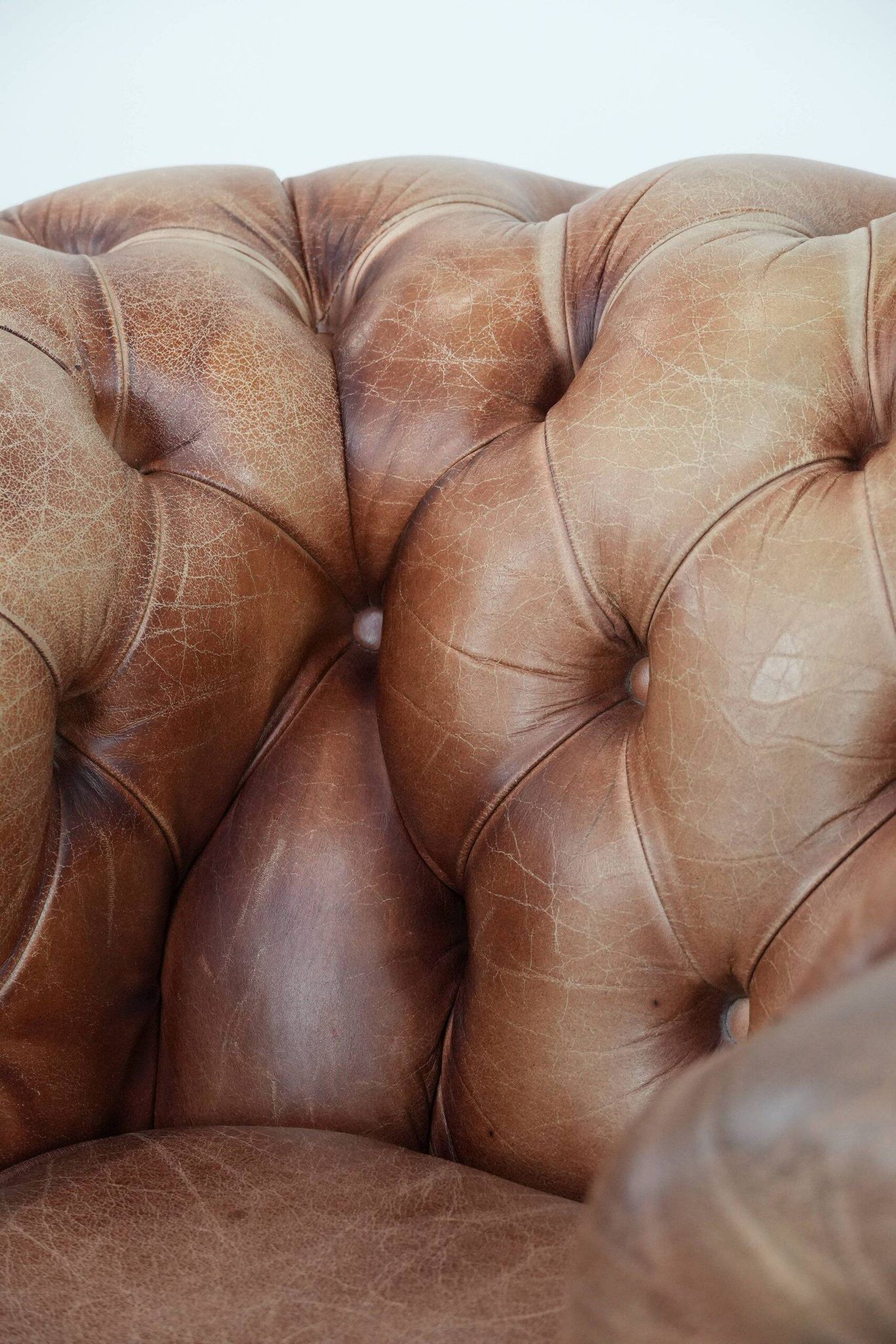 Chesterfield armchair in English style made of cowhide leather