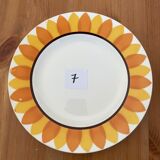 Flat plates model TOURNESOL DIGOIN