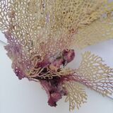 Ancient gorgon coral