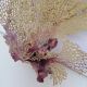 Corail gorgone ancien