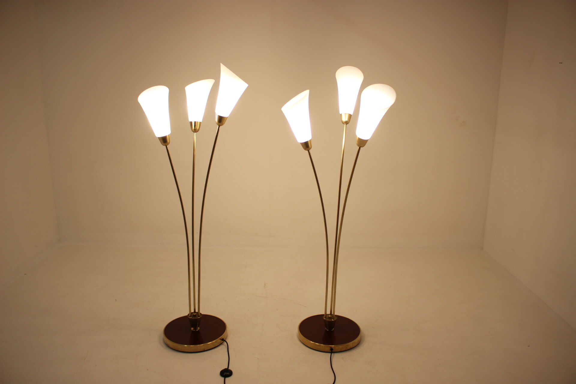 Pair of art deco floor lamps, Czechoslovakia 1940s