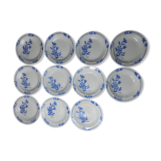 11 assiettes creuses narcisse