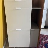 Secretary dino - cinna