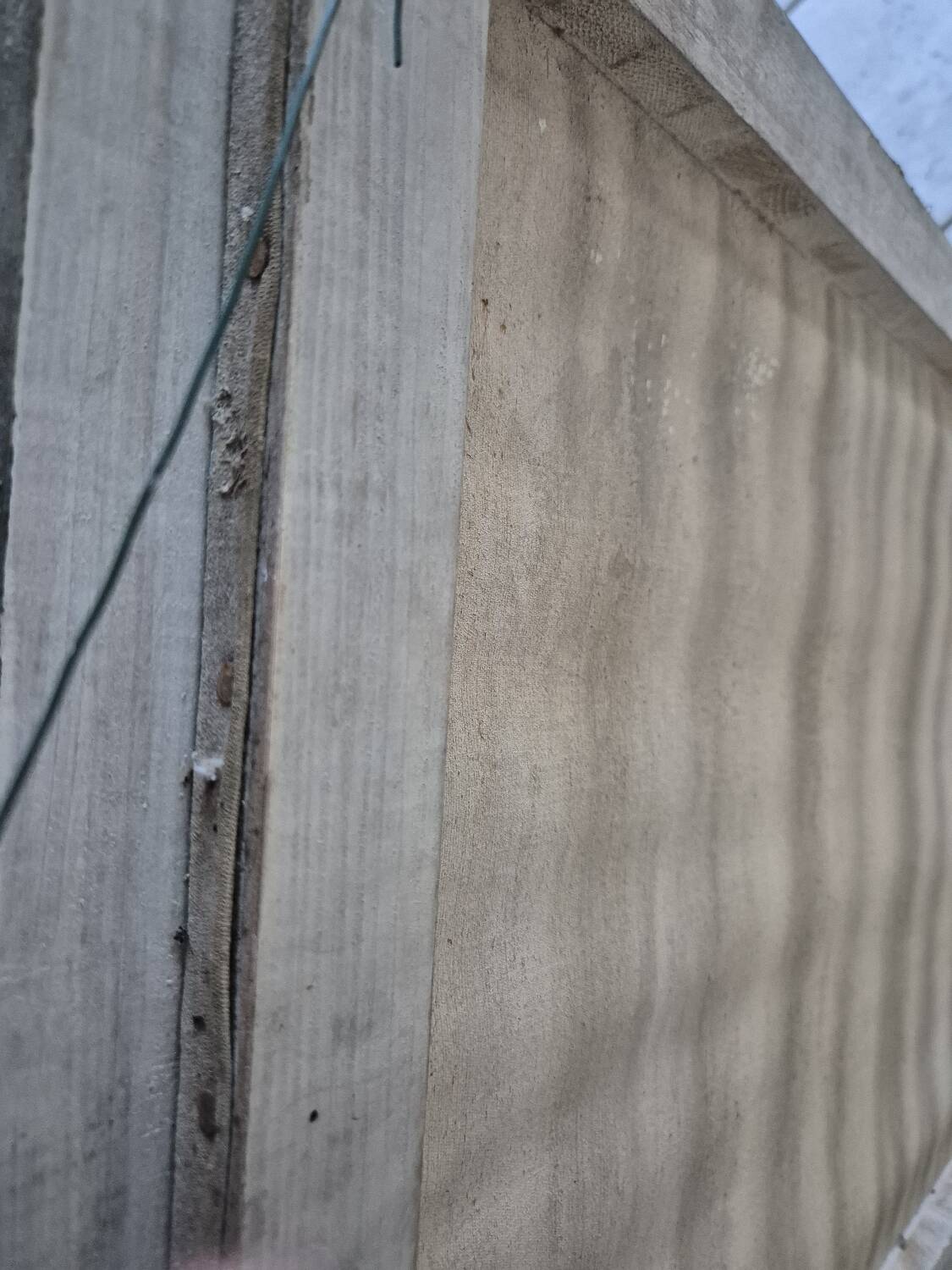 Oil on canvas J.MARTI (1965)