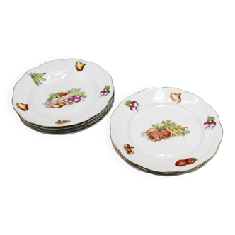 Set of 7 "Vegetables from the Vegetable Garden" Plates in French Porcelain - Vintage - "French Countryside"
