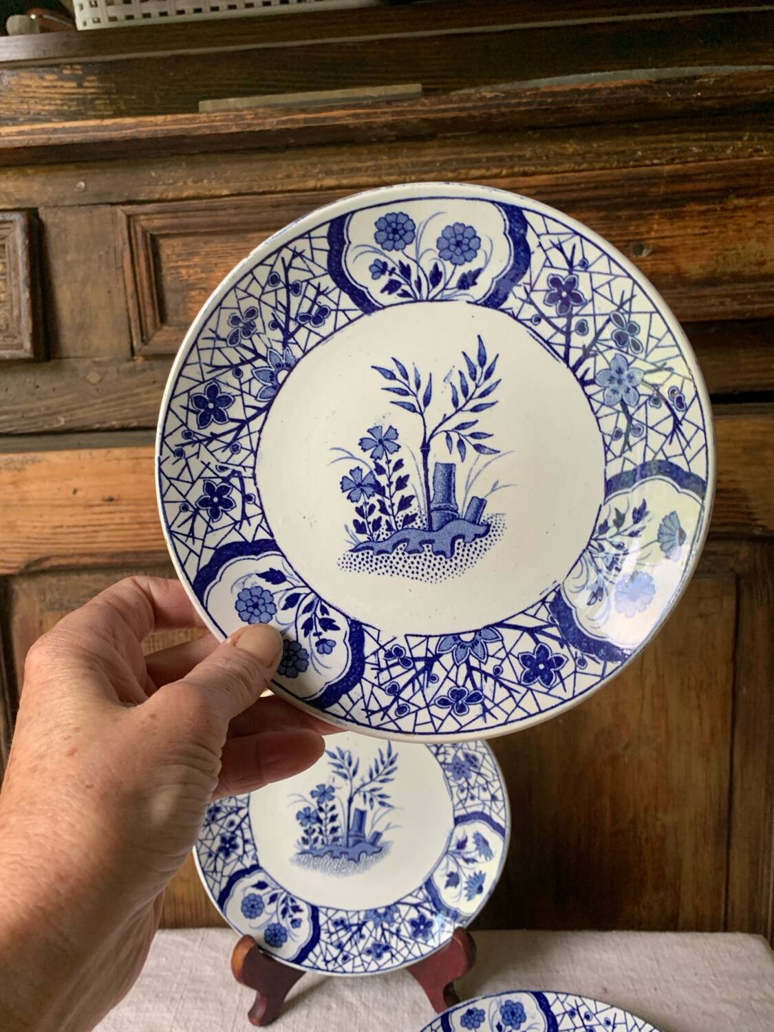 19th century Sarreguemines Damascus iron earth dessert plates