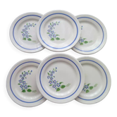 Set of 6 hollow plates in Niderviller faience, model Kate
