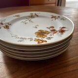Set of 6 antique plates