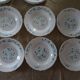 18 assiettes fleurs bleues veronica Arcopal vintage