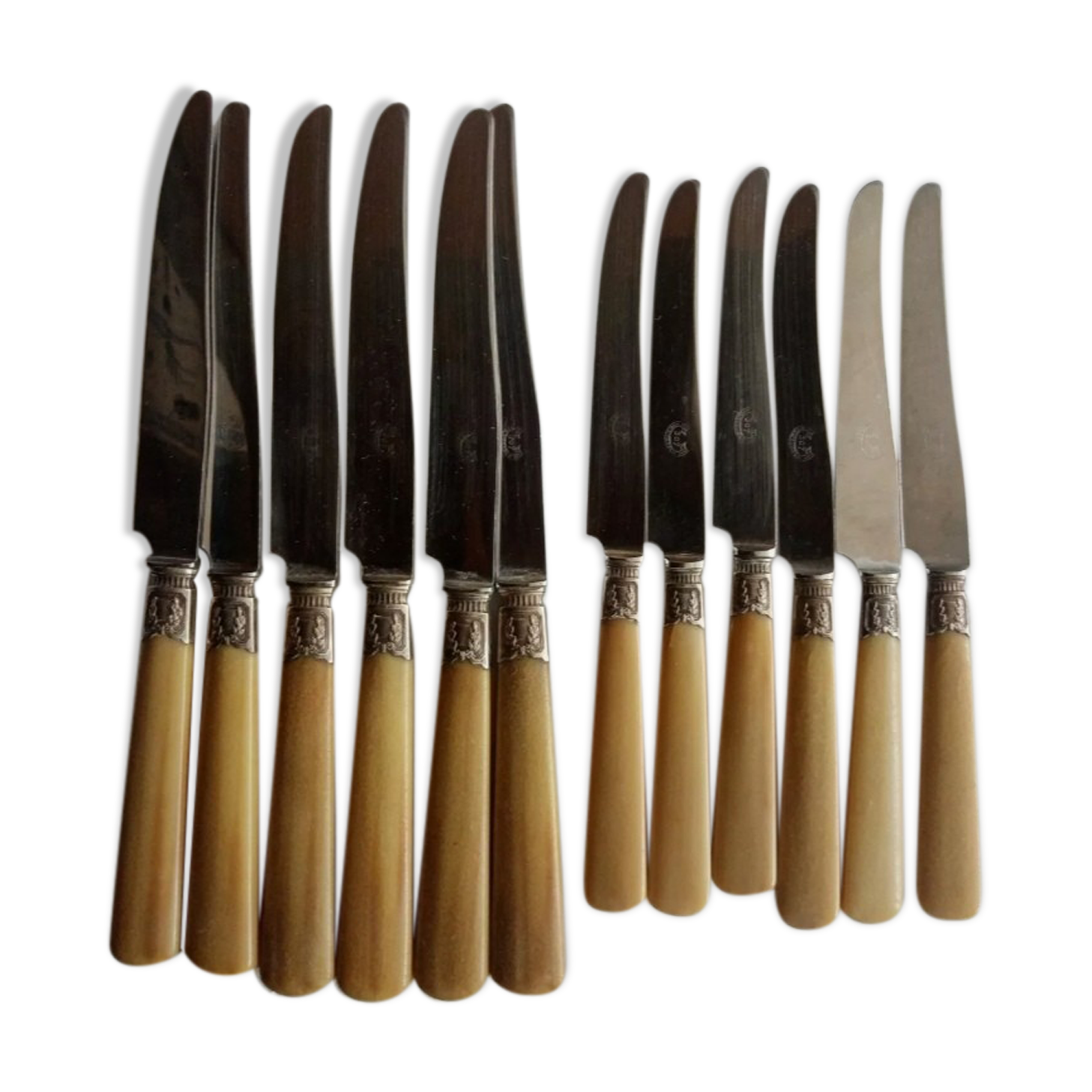 12 Old horn knives and stainless steel blades, Laurier decorative virole