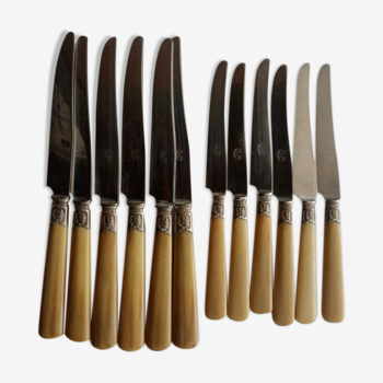 12 Anciens couteaux cornes et lames inox , virole à décors Laurier