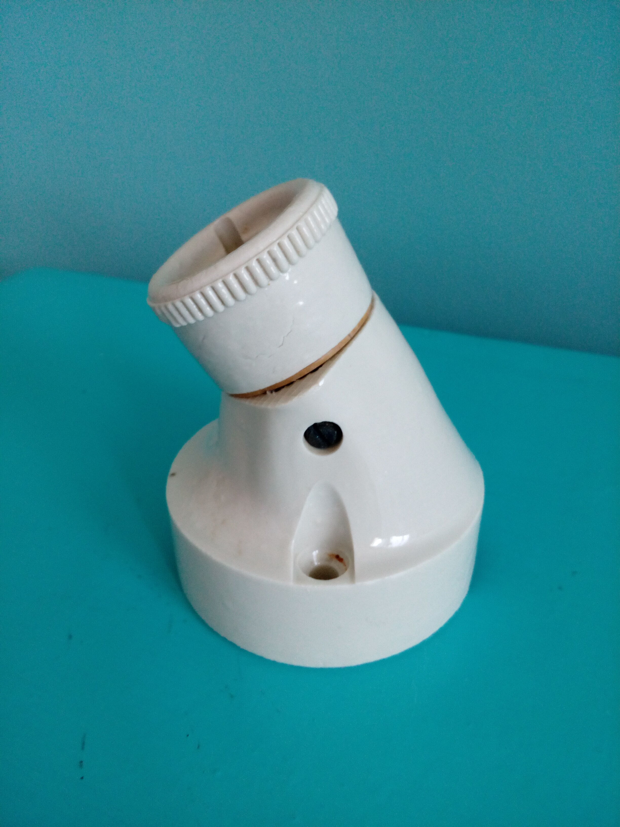 White porcelain duck-neck cellar sconce