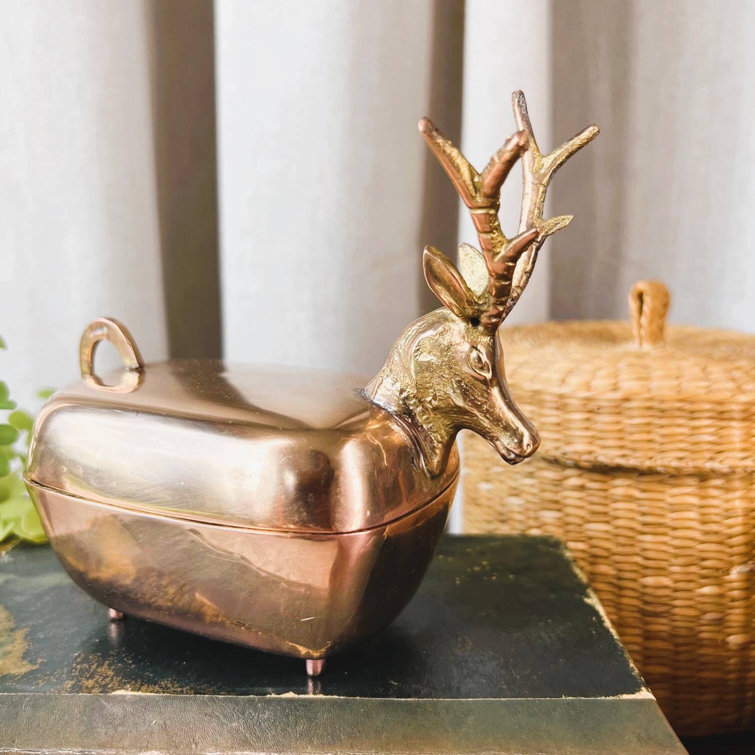 “Deer” brass box