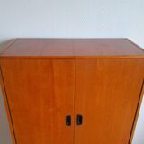 Mid-century library 1960