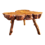 Olive root coffee table in brutalist style.