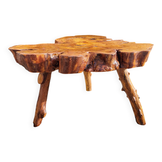 Olive root coffee table in brutalist style.