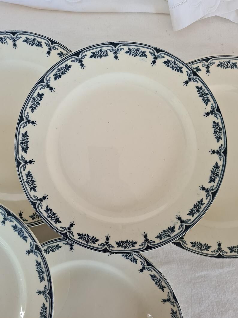 6 assiettes plates anciennes en terre de fer modèle "Sathonay" de la manufacture francaise de Salin