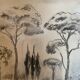 Charcoal painting signed “landscape of Provence” umbrella pines