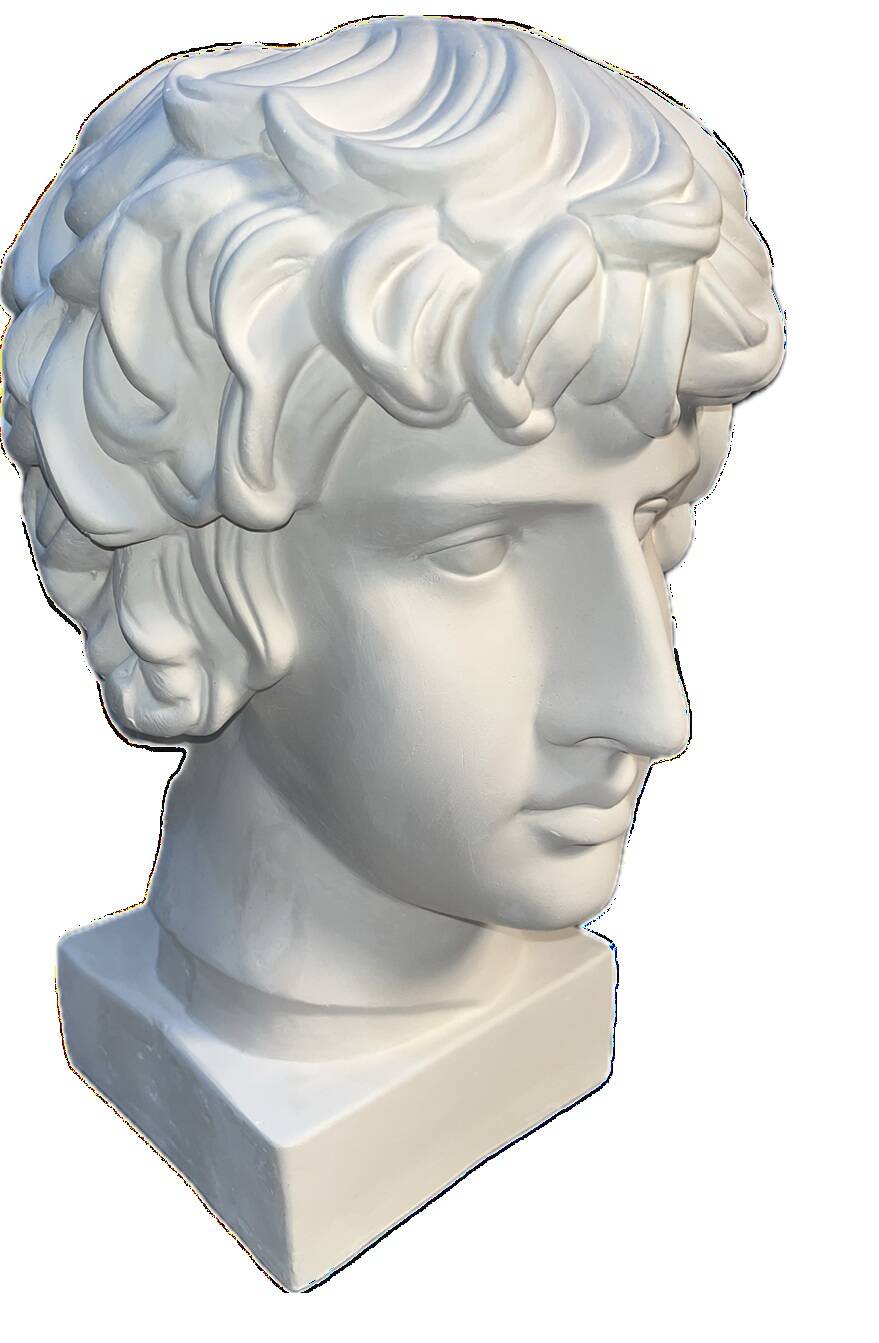Buste en plâtre d'Antinous - Réplique de l'Antinous de Farnèse