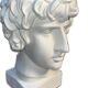 Buste en plâtre d'Antinous - Réplique de l'Antinous de Farnèse