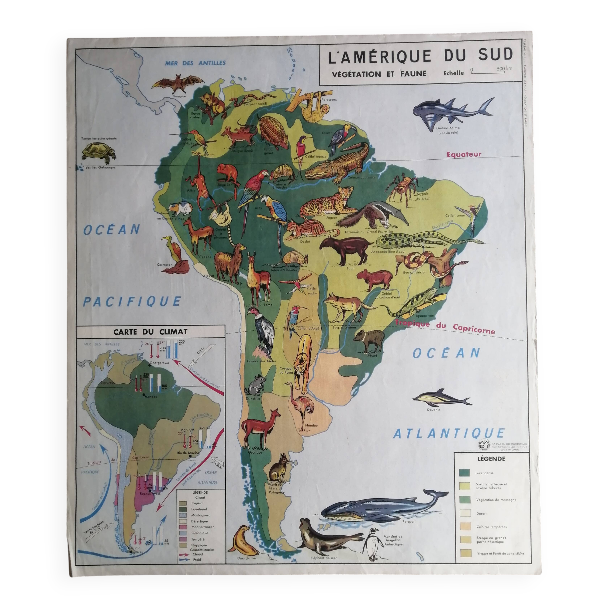 MDI school map: SOUTH AMERICA - OCEANIA fauna vegetation.