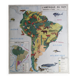 MDI school map: SOUTH AMERICA - OCEANIA fauna vegetation.