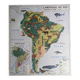 MDI school map: SOUTH AMERICA - OCEANIA fauna vegetation.