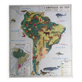 MDI school map: SOUTH AMERICA - OCEANIA fauna vegetation.
