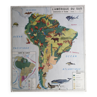 MDI school map: SOUTH AMERICA - OCEANIA fauna vegetation.