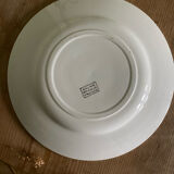 Set of 6 old flat plates Salins